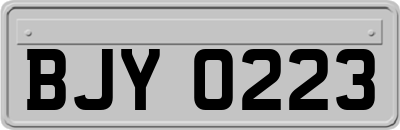 BJY0223