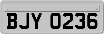 BJY0236