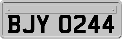 BJY0244