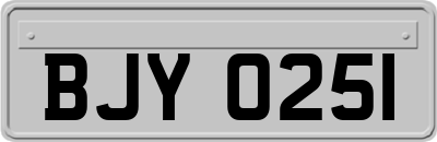BJY0251