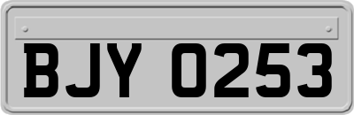 BJY0253
