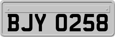 BJY0258
