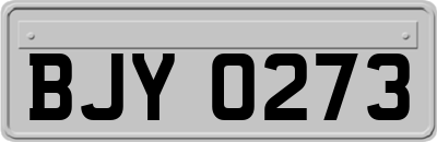 BJY0273