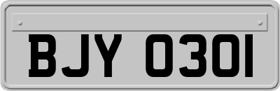 BJY0301