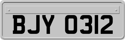 BJY0312
