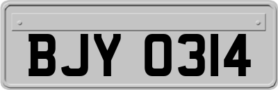 BJY0314