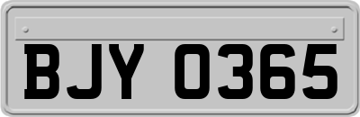 BJY0365