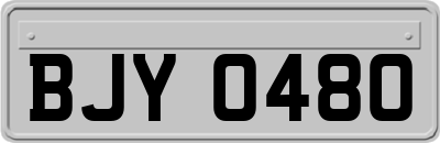 BJY0480