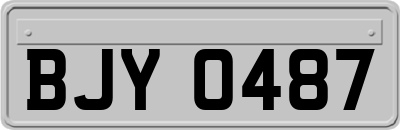BJY0487
