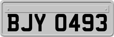 BJY0493