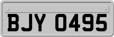 BJY0495