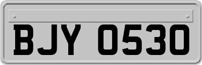 BJY0530