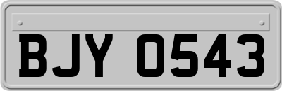 BJY0543