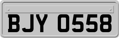 BJY0558