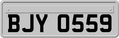 BJY0559