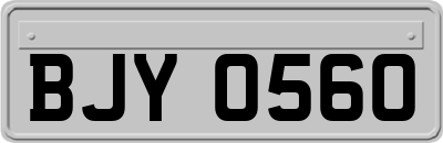BJY0560