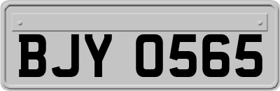 BJY0565