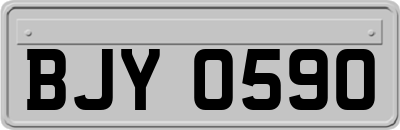 BJY0590