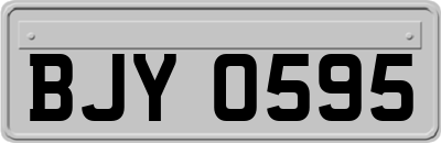 BJY0595
