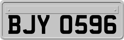 BJY0596