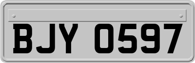 BJY0597