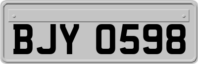 BJY0598