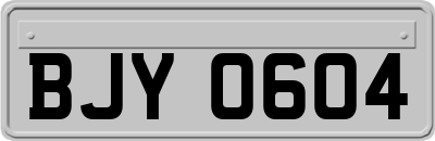 BJY0604