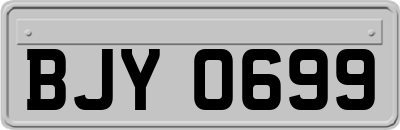 BJY0699