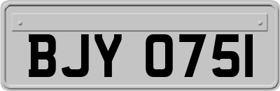 BJY0751
