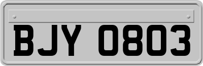 BJY0803