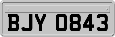 BJY0843