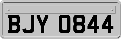 BJY0844