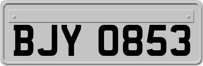 BJY0853