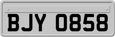 BJY0858