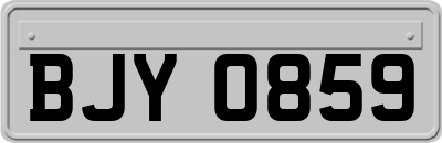 BJY0859