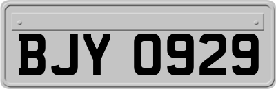 BJY0929