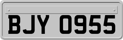 BJY0955