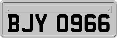 BJY0966