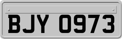 BJY0973