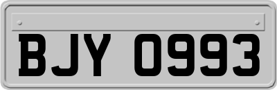 BJY0993