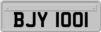 BJY1001