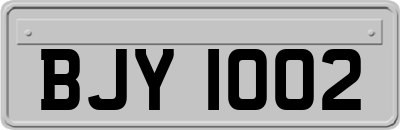 BJY1002
