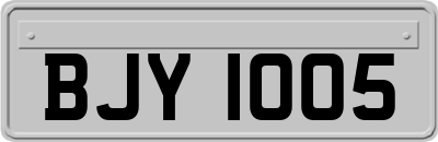 BJY1005