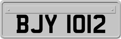 BJY1012