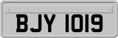 BJY1019