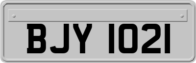 BJY1021