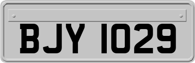 BJY1029