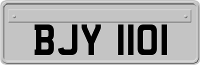 BJY1101