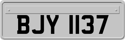 BJY1137
