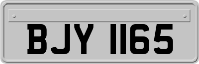BJY1165